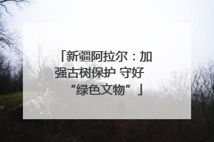 新疆阿拉尔：加强古树保护 守好“绿色文物”