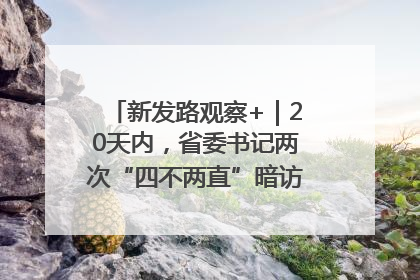 新发路观察+｜20天内，省委书记两次“四不两直”暗访，有何深意？