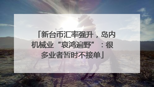 新台币汇率强升，岛内机械业“哀鸿遍野”：很多业者暂时不接单