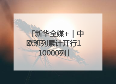 新华全媒+｜中欧班列累计开行110000列