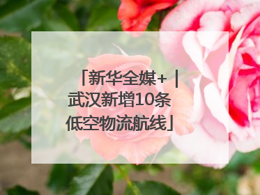 新华全媒+｜武汉新增10条低空物流航线
