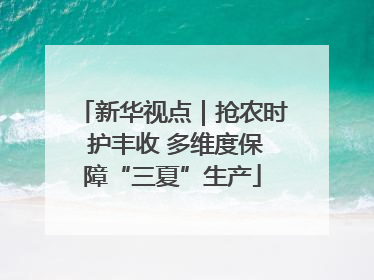 新华视点｜抢农时 护丰收 多维度保障“三夏”生产