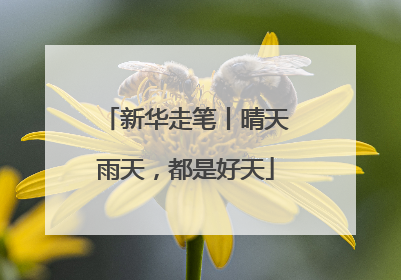 新华走笔丨晴天雨天，都是好天
