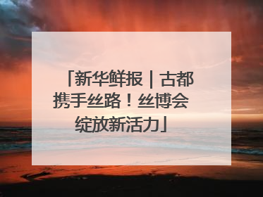 新华鲜报｜古都携手丝路！丝博会绽放新活力