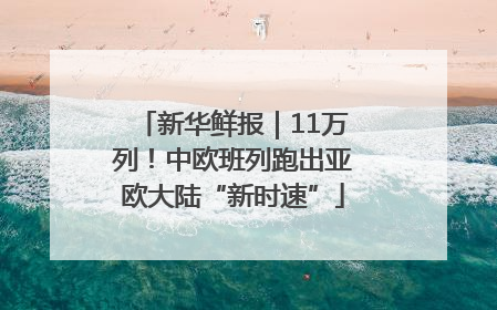 新华鲜报｜11万列！中欧班列跑出亚欧大陆“新时速”