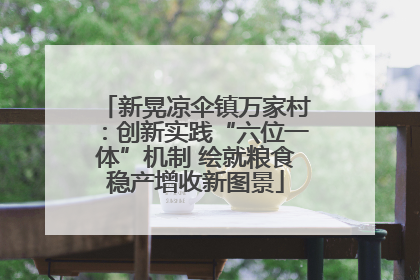 新晃凉伞镇万家村：创新实践“六位一体”机制 绘就粮食稳产增收新图景