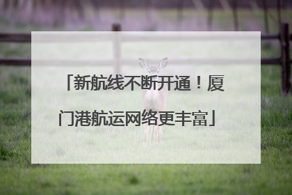 新航线不断开通！厦门港航运网络更丰富