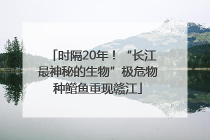 时隔20年！“长江最神秘的生物”极危物种鳤鱼重现赣江