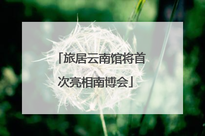 旅居云南馆将首次亮相南博会