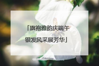 旗袍雅韵庆端午 银发风采展芳华