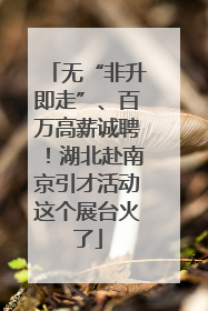 无“非升即走”、百万高薪诚聘！湖北赴南京引才活动这个展台火了