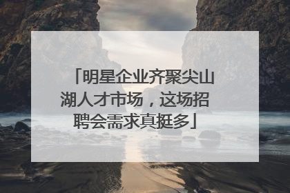 明星企业齐聚尖山湖人才市场，这场招聘会需求真挺多