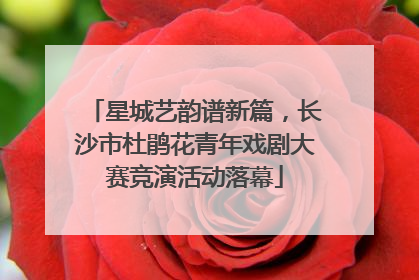 星城艺韵谱新篇，长沙市杜鹃花青年戏剧大赛竞演活动落幕