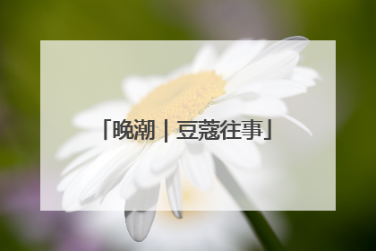 晚潮｜豆蔻往事