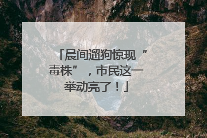 晨间遛狗惊现“毒株”，市民这一举动亮了！