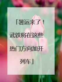 暑运来了！武铁将在这些热门方向加开列车