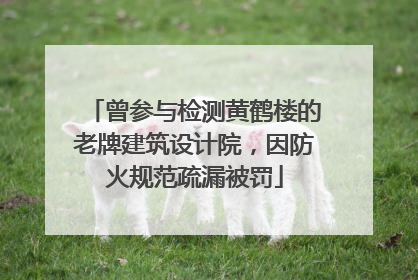 曾参与检测黄鹤楼的老牌建筑设计院，因防火规范疏漏被罚
