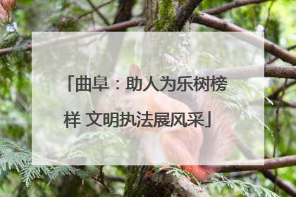 曲阜：助人为乐树榜样 文明执法展风采