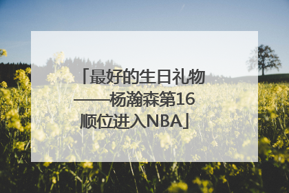 最好的生日礼物——杨瀚森第16顺位进入NBA