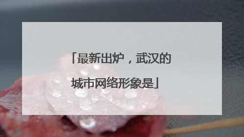 最新出炉，武汉的城市网络形象是