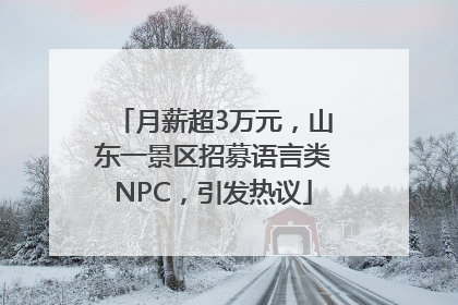 月薪超3万元，山东一景区招募语言类NPC，引发热议