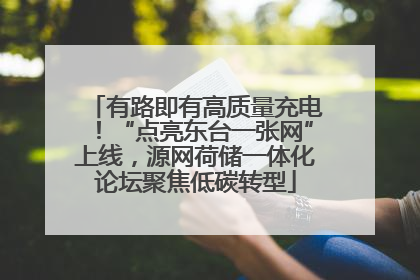 有路即有高质量充电！“点亮东台一张网”上线，源网荷储一体化论坛聚焦低碳转型