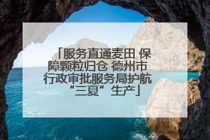 服务直通麦田 保障颗粒归仓 德州市行政审批服务局护航“三夏”生产