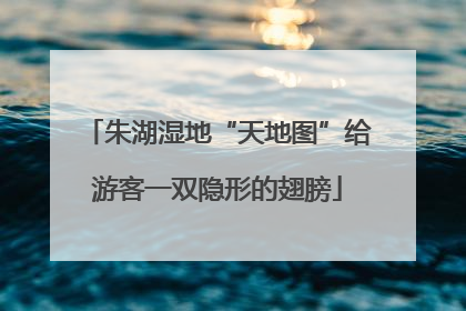 朱湖湿地“天地图”给游客一双隐形的翅膀