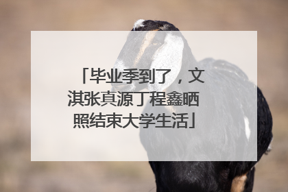 毕业季到了，文淇张真源丁程鑫晒照结束大学生活