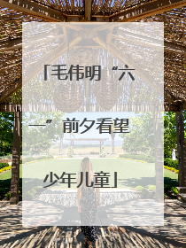 毛伟明“六一”前夕看望少年儿童
