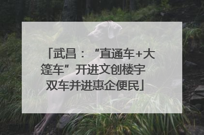 武昌：“直通车+大篷车”开进文创楼宇 双车并进惠企便民