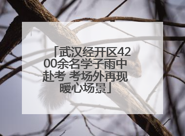 武汉经开区4200余名学子雨中赴考 考场外再现暖心场景