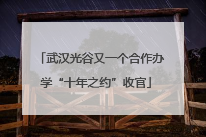 武汉光谷又一个合作办学“十年之约”收官