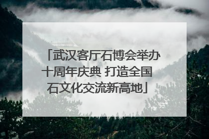 武汉客厅石博会举办十周年庆典 打造全国石文化交流新高地