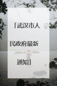武汉市人民政府最新通知
