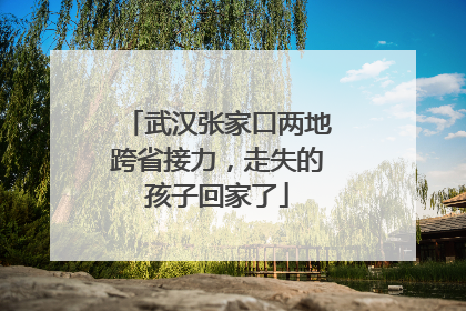 武汉张家口两地跨省接力，走失的孩子回家了