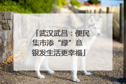 武汉武昌：便民集市添“绿”意 银发生活更幸福