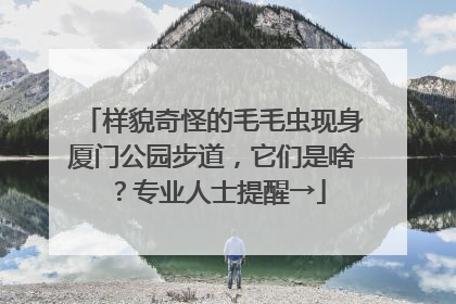 样貌奇怪的毛毛虫现身厦门公园步道，它们是啥？专业人士提醒→