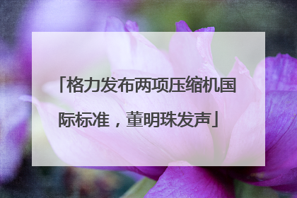 格力发布两项压缩机国际标准，董明珠发声