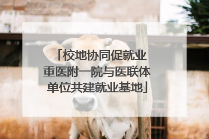 校地协同促就业 重医附一院与医联体单位共建就业基地