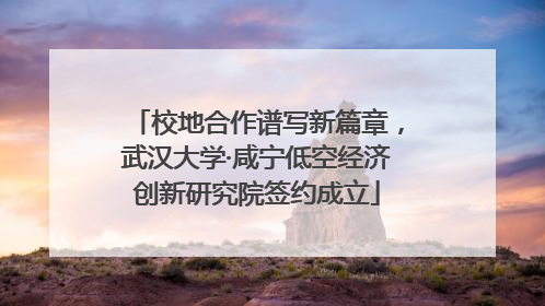 校地合作谱写新篇章，武汉大学·咸宁低空经济创新研究院签约成立