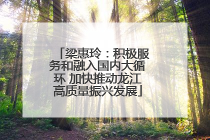 梁惠玲：积极服务和融入国内大循环 加快推动龙江高质量振兴发展