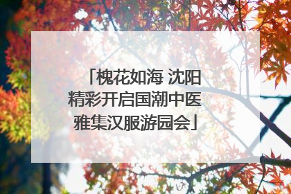 槐花如海 沈阳精彩开启国潮中医雅集汉服游园会