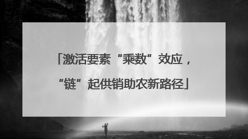 激活要素“乘数”效应，“链”起供销助农新路径