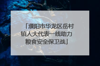 濮阳市华龙区岳村镇人大代表一线助力粮食安全保卫战