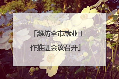 潍坊全市就业工作推进会议召开