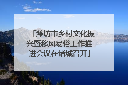 潍坊市乡村文化振兴暨移风易俗工作推进会议在诸城召开