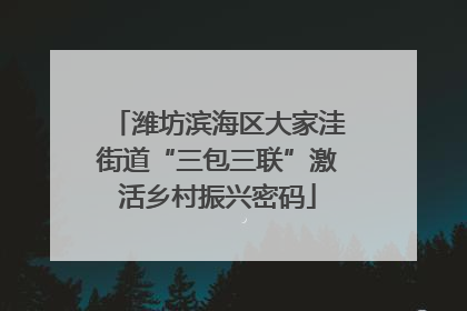 潍坊滨海区大家洼街道“三包三联”激活乡村振兴密码