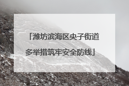 潍坊滨海区央子街道多举措筑牢安全防线