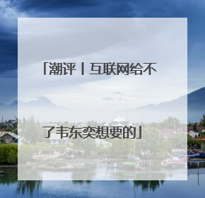 潮评丨互联网给不了韦东奕想要的